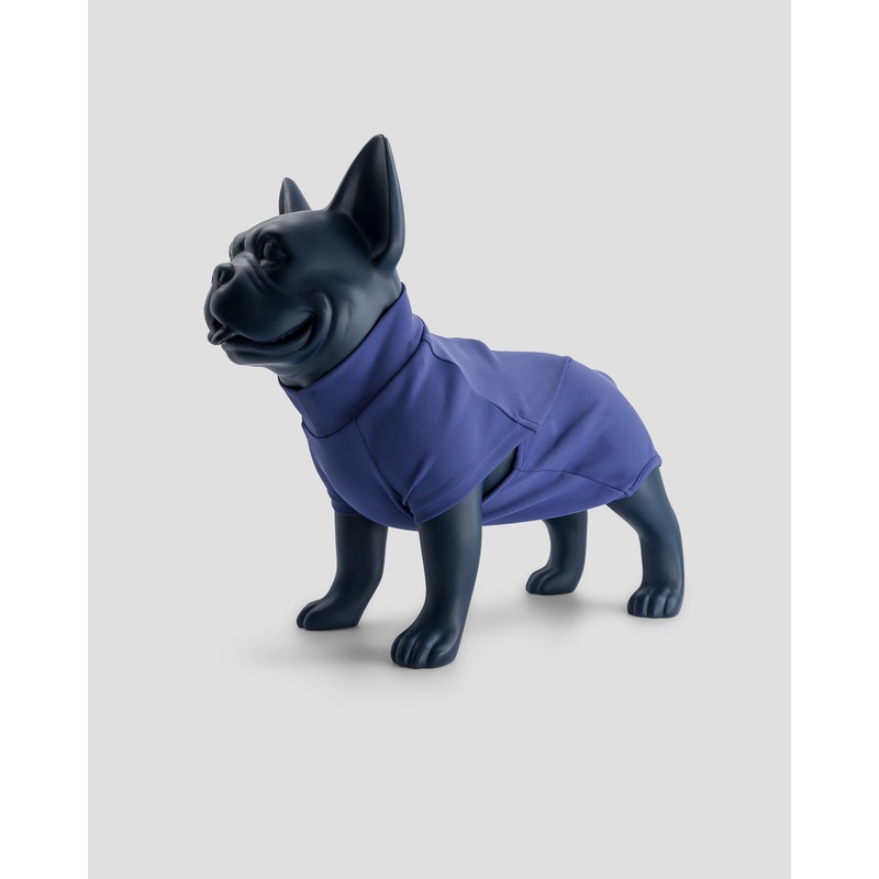 Maillot de bain pour chien Bleu mystique Sinbad