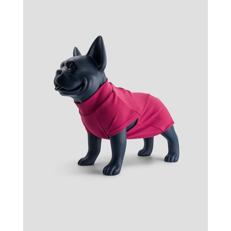 Maillot de bain pour chien Prune Sinbad