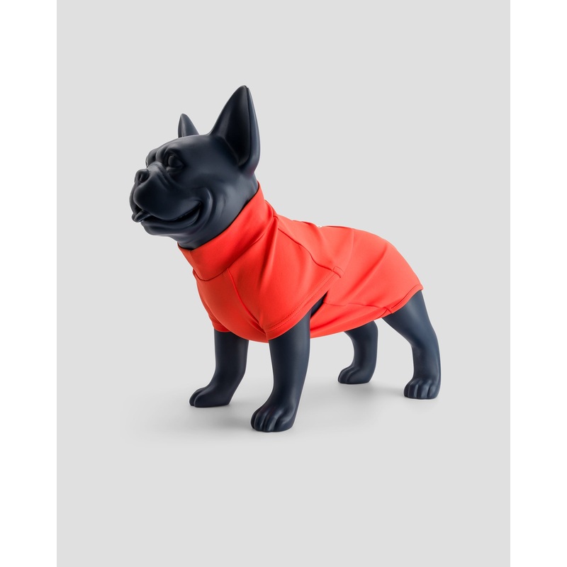Maillot de bain pour chien Rouge feu Sinbad