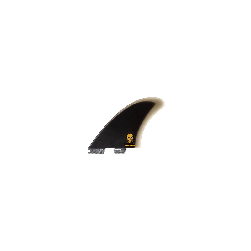 FCS II / Christenson PG Twin Fin