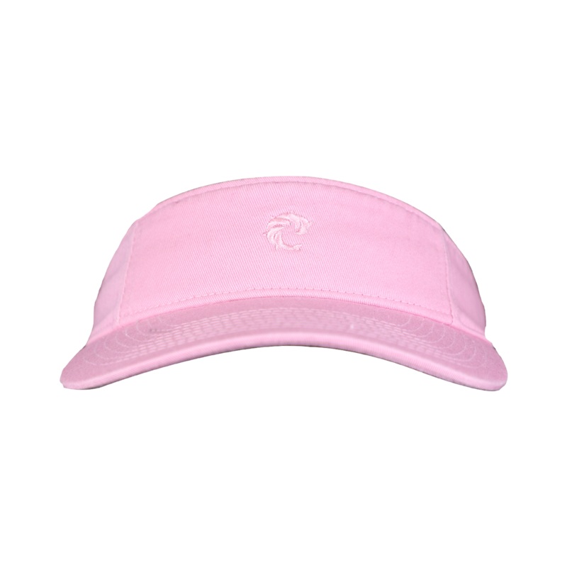 WRV Visor