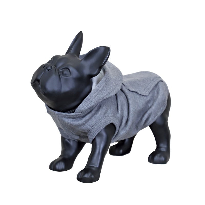 Paws Pet Hoodie