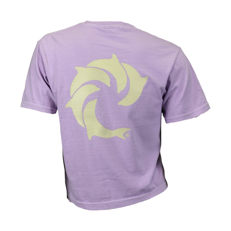 Solid Ladies Crop T-Shirt