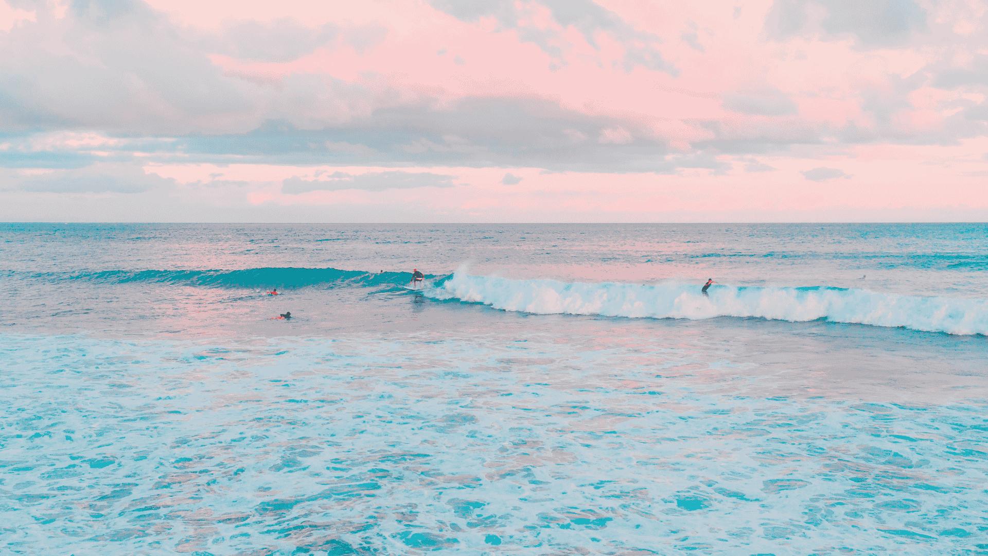 Ocean Board Shop